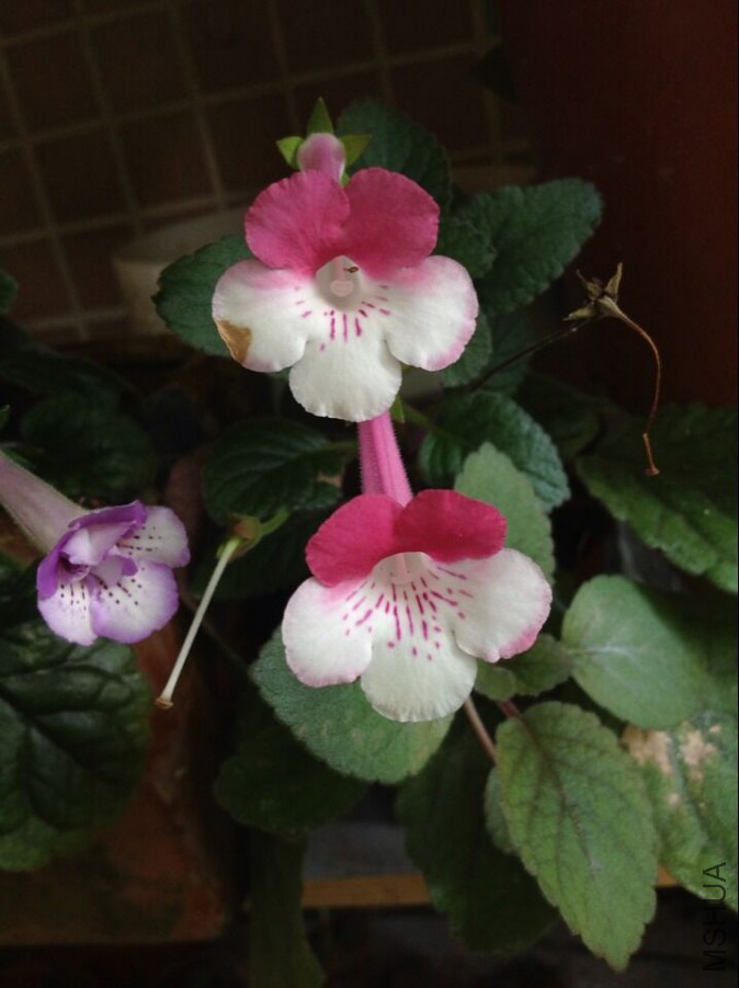 QQͼƬ20150615111419.jpg