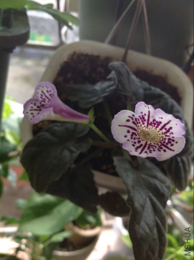 QQͼƬ20150615111425.jpg
