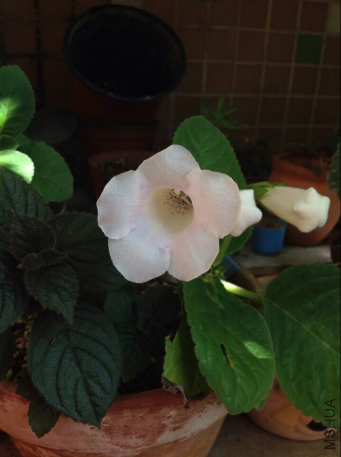 QQͼƬ20150615110705.jpg