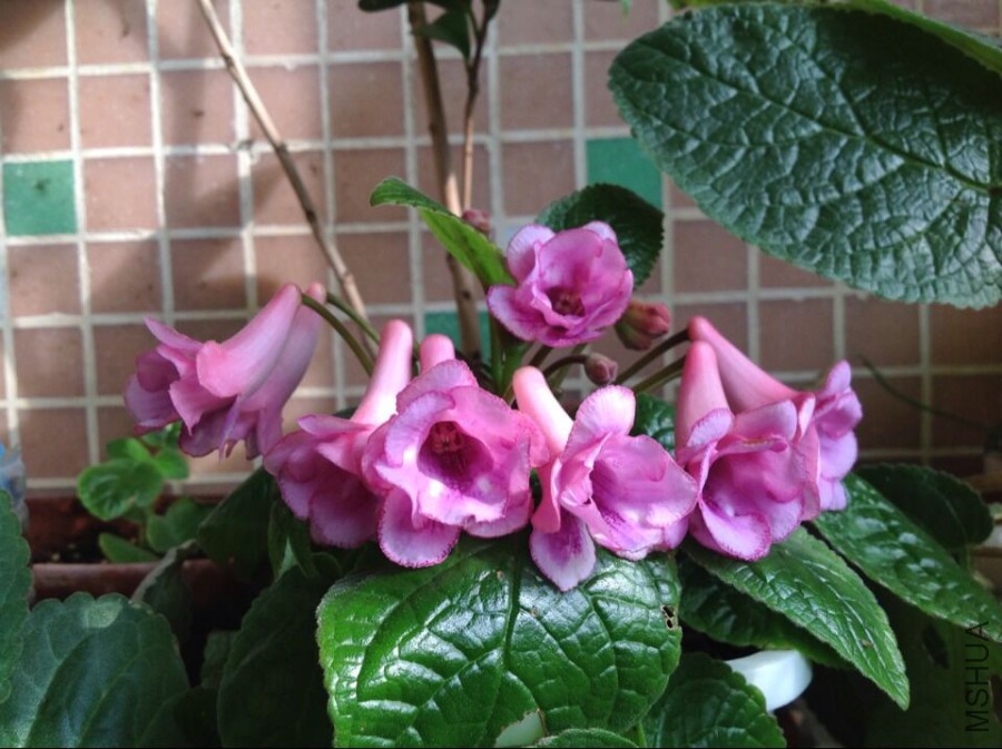 QQͼƬ20150601095409.jpg