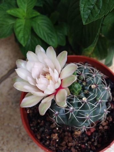 QQͼƬ20150615123739.jpg