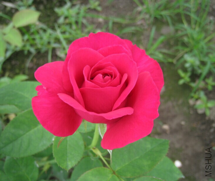 QQͼƬ20150615135211.jpg