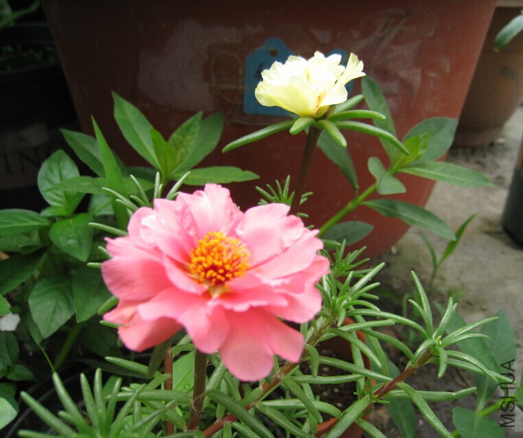 QQͼƬ20150615135505.jpg
