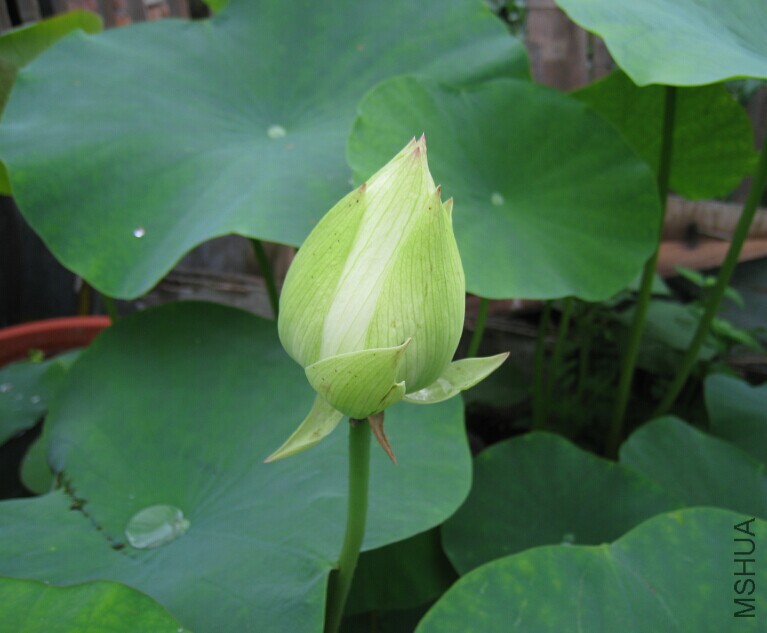 QQͼƬ20150615135551.jpg
