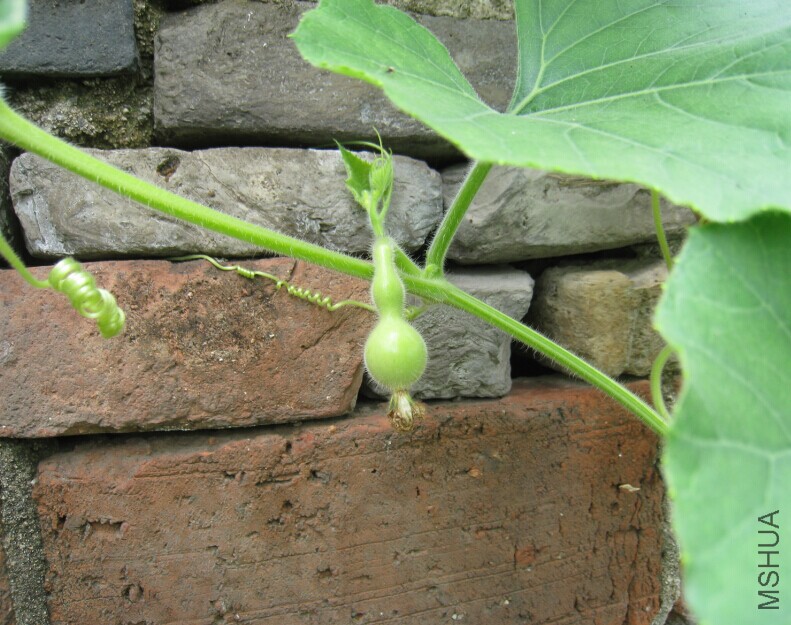 QQͼƬ20150615135537.jpg