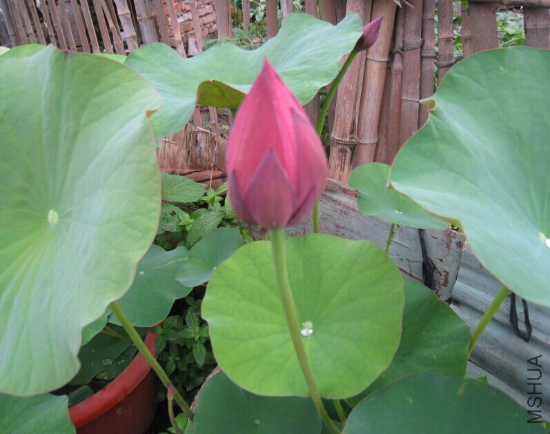 QQͼƬ20150615135603.jpg