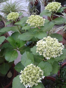 20150524_181800.jpg