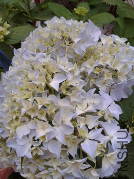 20150524_181813.jpg