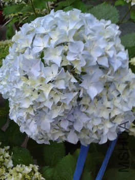 20150527_182058.jpg
