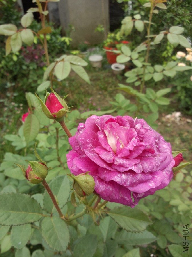 �к��ڻ�����ɫ�䰵��