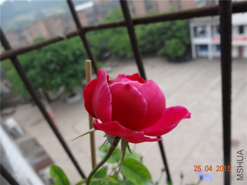 DSC08146_����.jpg