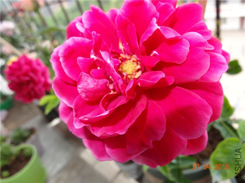 DSC08559_����.jpg