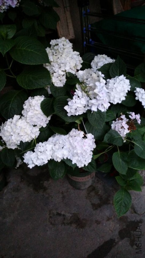 QQͼƬ20150616101843.jpg