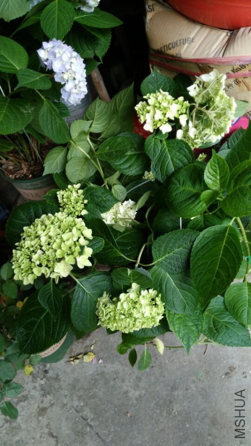 QQͼƬ20150616102336.jpg