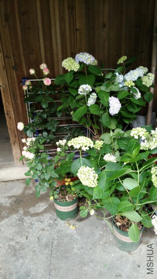QQͼƬ20150616102331.jpg