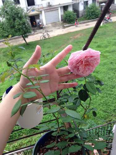 image.jpg