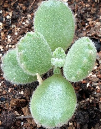 2015-06-12 10.58.22.jpg