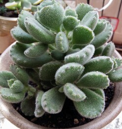 2015-06-16 12.15.44.jpg