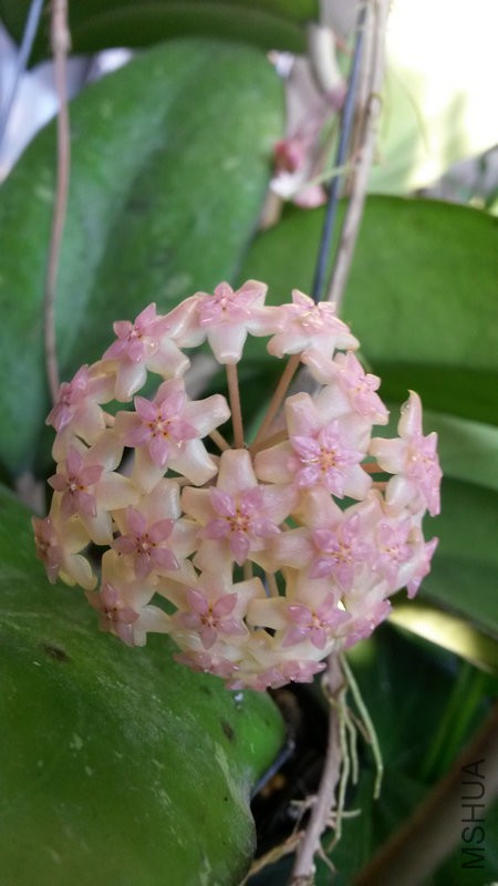 20150616_063059.jpg