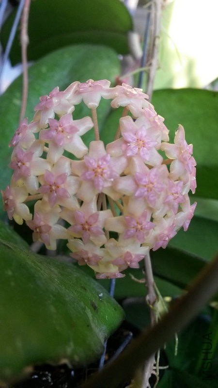 20150616_063109.jpg