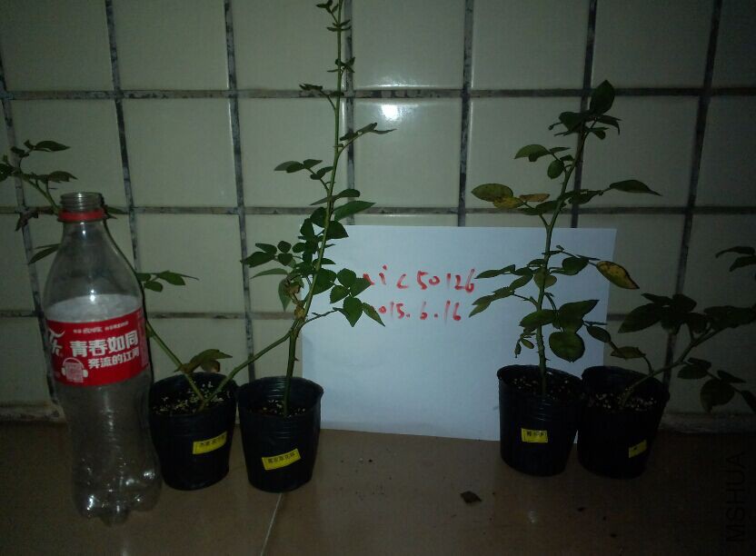 QQͼƬ20150616213911.jpg