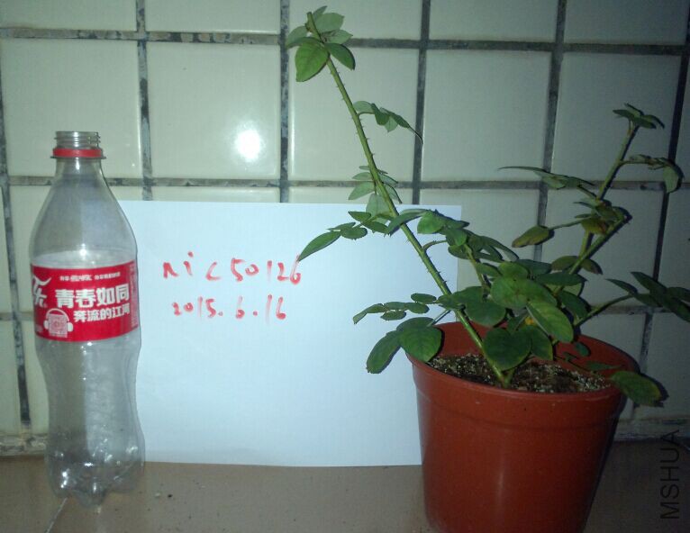 QQͼƬ20150616213855.jpg