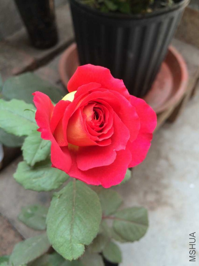 QQͼƬ20150617105714.jpg