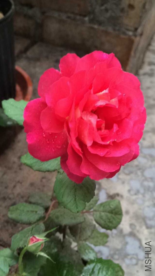 QQͼƬ20150617105719.jpg