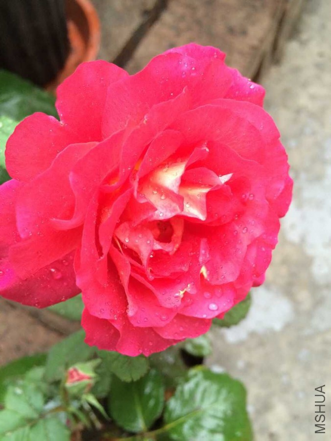 QQͼƬ20150617105725.jpg