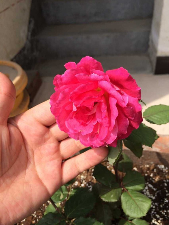 QQͼƬ20150617105737.jpg