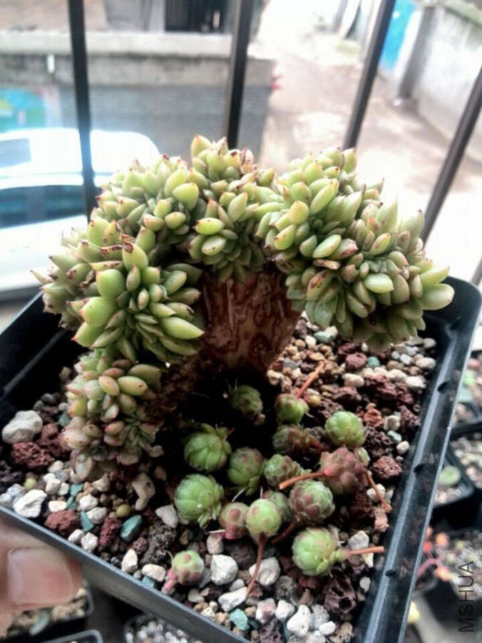 QQͼƬ20150417143832.jpg