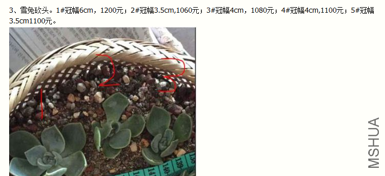 )CBVY`7@AHJH9S{F9L1{GDE.png
