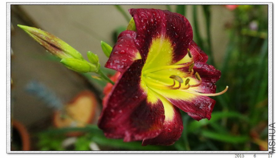 2015061703.jpg