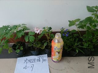 UC_Photo_131.jpg
