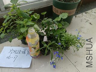 UC_Photo_132.jpg