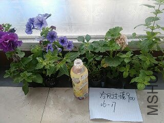 UC_Photo_133.jpg