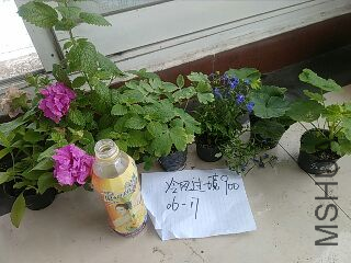 UC_Photo_134.jpg