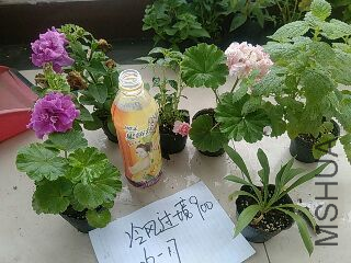 UC_Photo_135.jpg