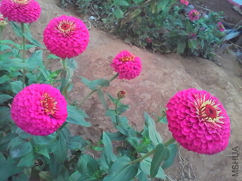 AHC%`(AD(2UN~_BX6SM[}LX.jpg