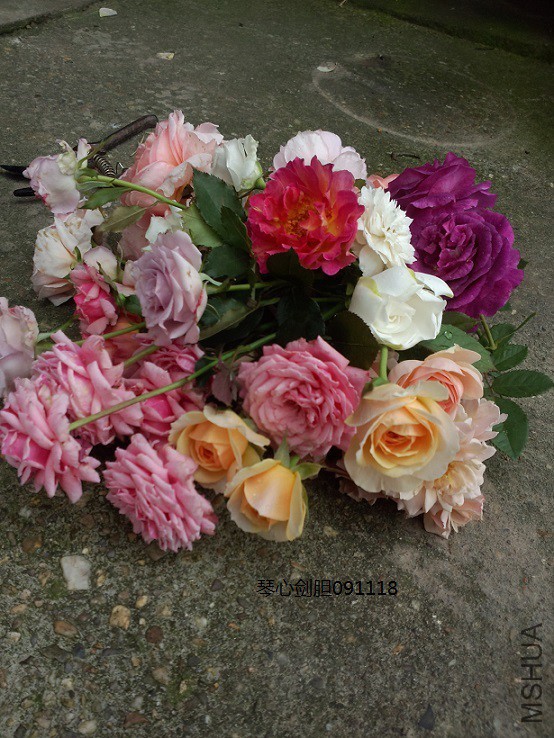 ��������