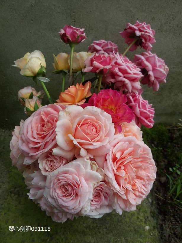 ֻ�ܼ����ˣ�û�е��ˡ�