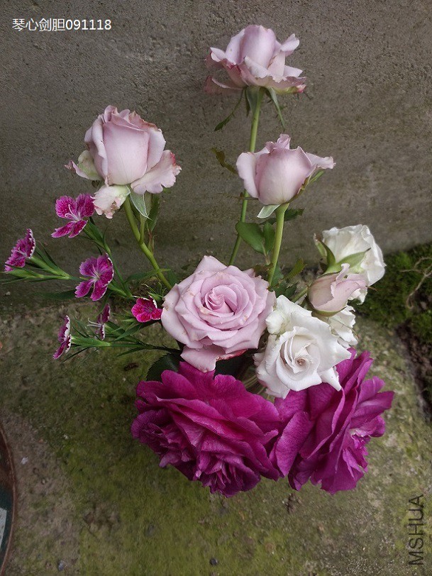 ����ɫϵƿ��ŷ�£�������ɫ�ǡ����ء���