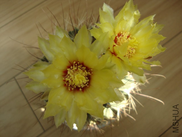 DSC03887.JPG
