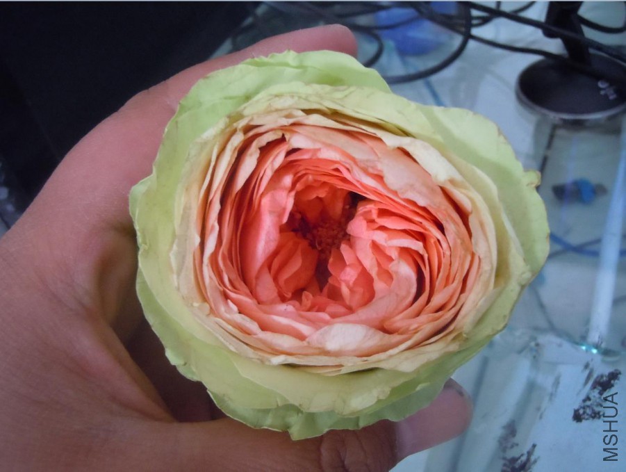 �뿪������.jpg