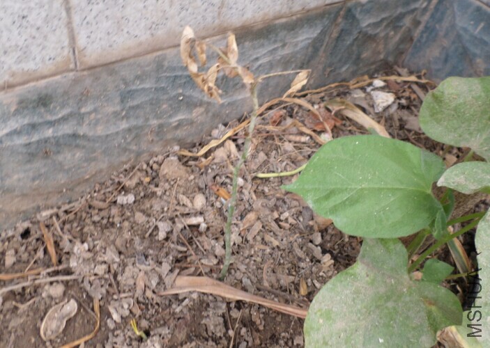 QQͼƬ201506180946115555.jpg