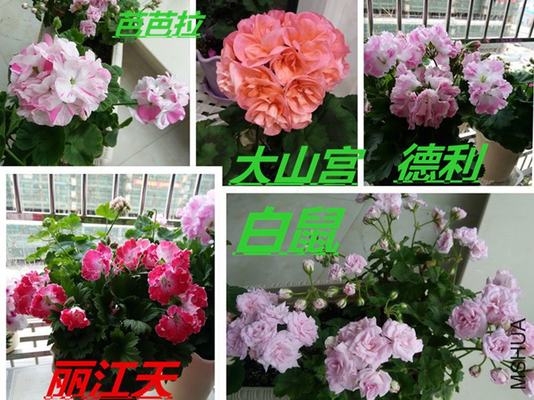 153739gcrr6gav8b6334uo.jpg