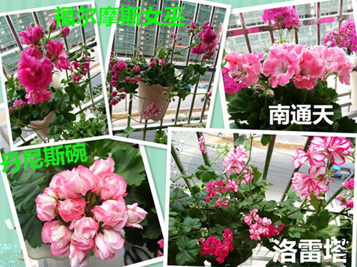 183127tq2n6p6fut09m7zc.jpg