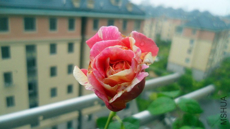 SAM_3432_����.jpg