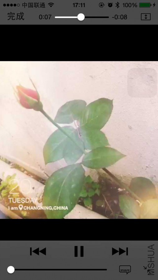 D63.jpg