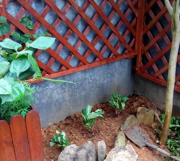 ���������~